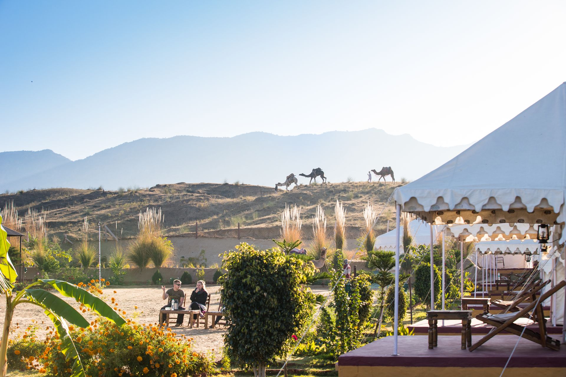 Page Travel Blogs Pushkar, Pushkar Adventure Desert Camp, Best Camp in Pushkar, Rajasthan Tourism, Pushkar Experiences